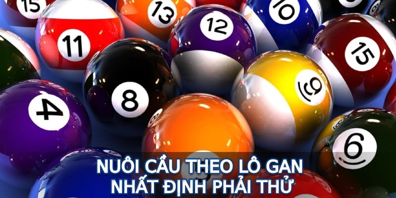 Nuôi cầu theo lô gan nhất định phải thử