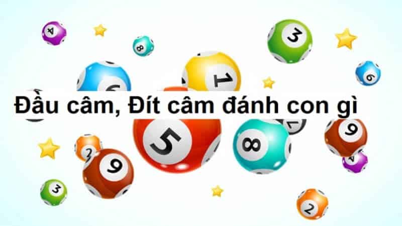 Bắt lô câm miền Bắc theo đít câm cực dễ